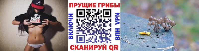 Галлюциногенные грибы GOLDEN TEACHER  где купить наркоту  Ува 