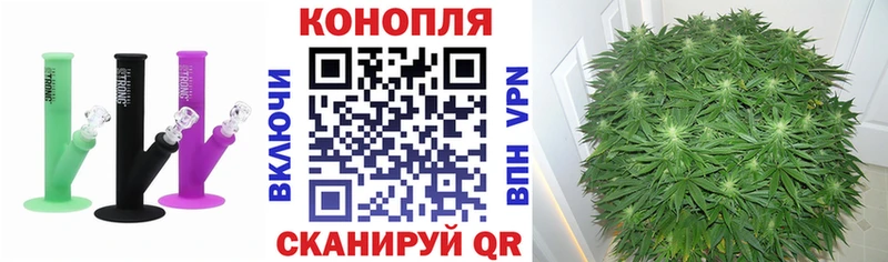где купить наркоту  Ува  Бошки марихуана MAZAR 